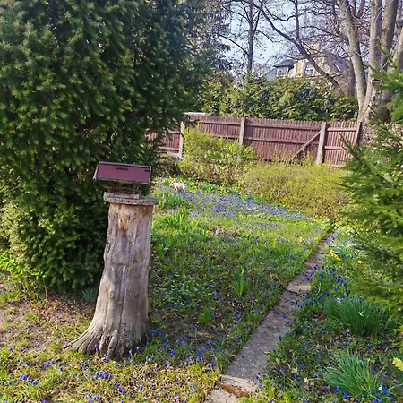An Den Eichen * Aschersleben